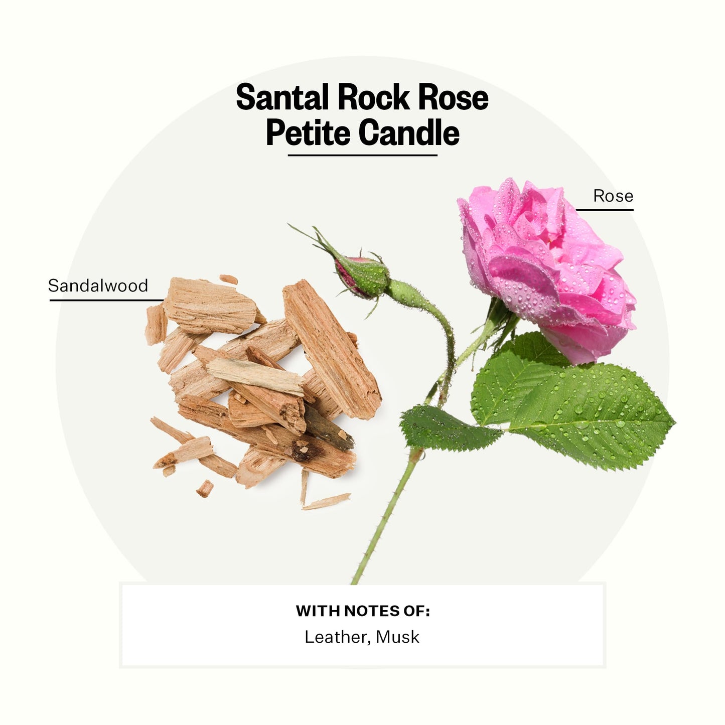 APOTHEKE Santal Rock Rose Petite Candle – Luxury Soy Jar, 5 oz