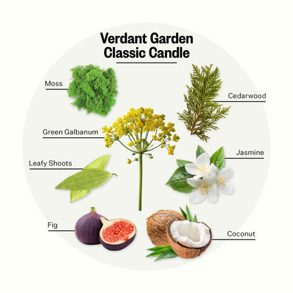 APOTHEKE Verdant Garden 10.5 oz Soy Candle | Cedarwood, Fig, Jasmine, Coconut