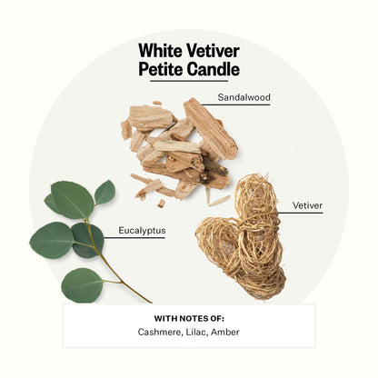 Apotheke White Vetiver Petite Candle – Luxury Soy Wax 5 oz