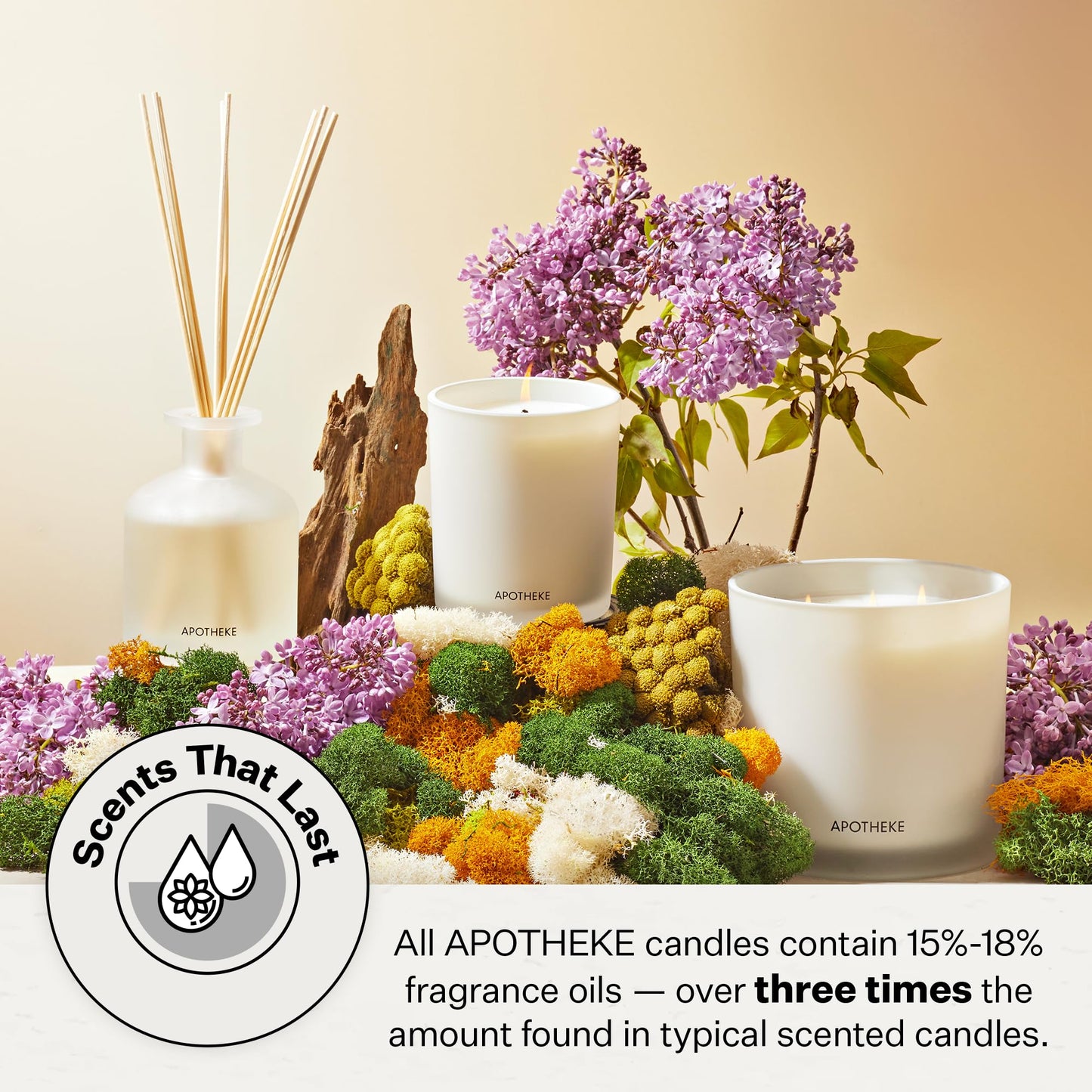 Apotheke Wild Mint & Ivy Scented Candle – 10.5 oz Soy Wax, Large White Jar
