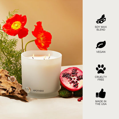Apotheke Wild Mint & Ivy Scented Candle – 10.5 oz Soy Wax, Large White Jar