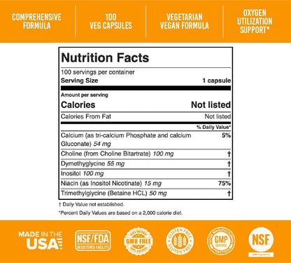 Apricot Power Super B-15 Pangamic Acid – Non-Toxic B-15, 100 Veg Caps