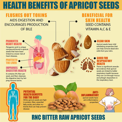 Richardson Nutritional Center Fresh Raw Bitter Apricot Seeds (2 lb) — California Grown, Lab Tested, Vegan, Gluten & GMO Free