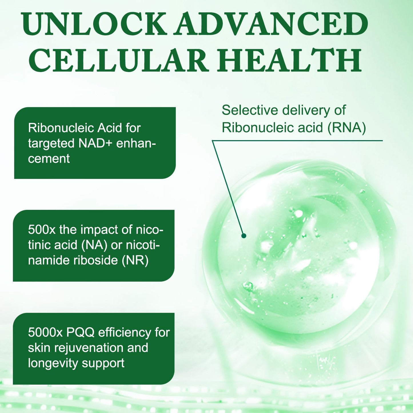 APU.FAIRY NAD Supplement - Liposomal NAD+ with Nicotinamide Riboside | Energy, Anti-Aging & Cellular Support | 120 Capsules