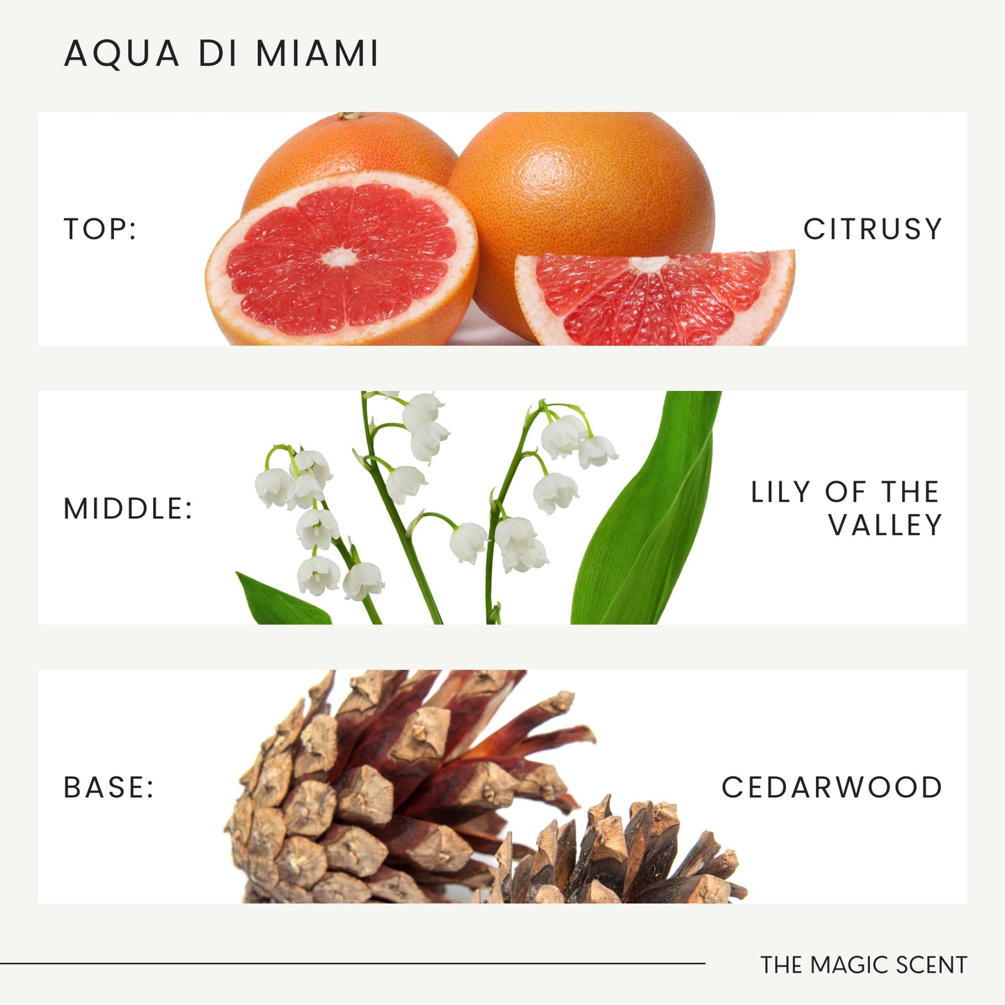 The Magic Scent Aqua di Miami Diffuser Oil – Luxury Hotel & Home Fragrance, 4 fl oz (120 mL)