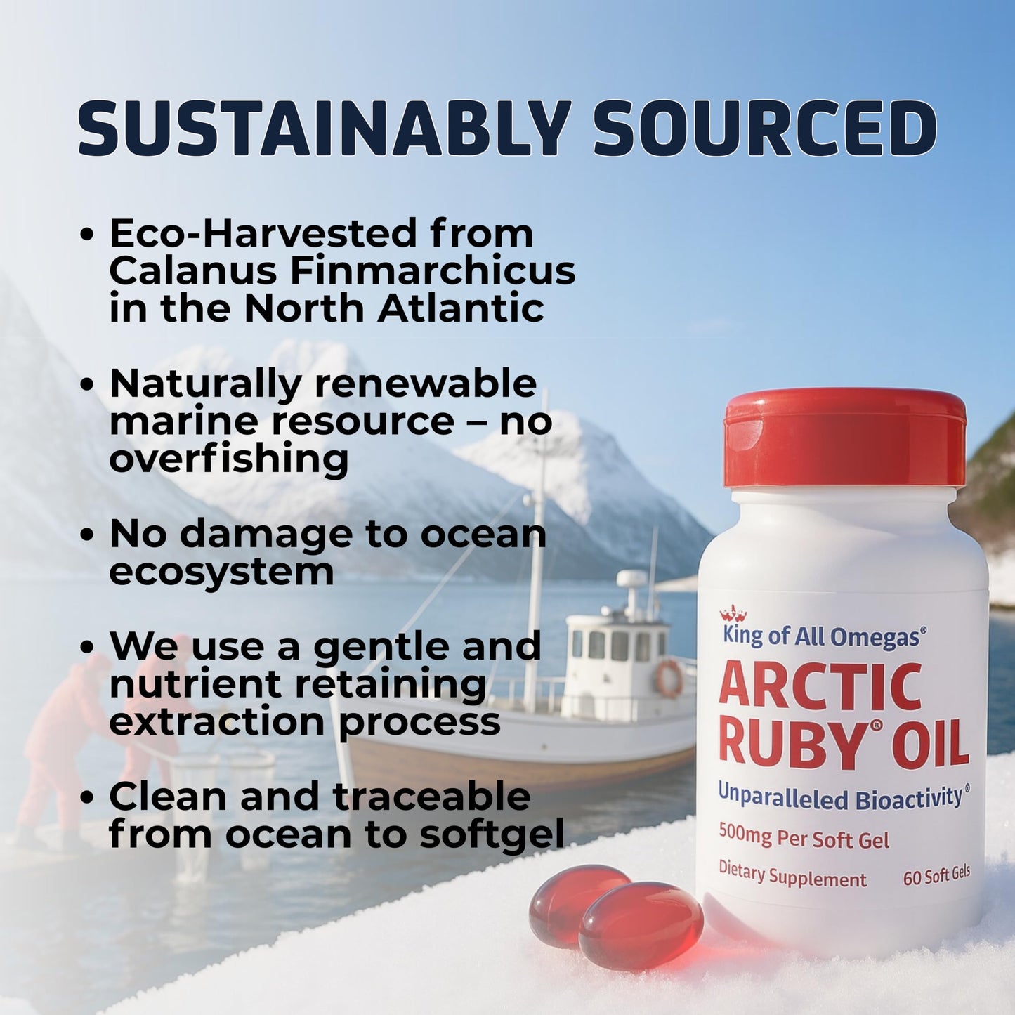 Immunocorp Arctic Ruby Oil 1000mg – Omega-3 with Astaxanthin (60 Softgels)