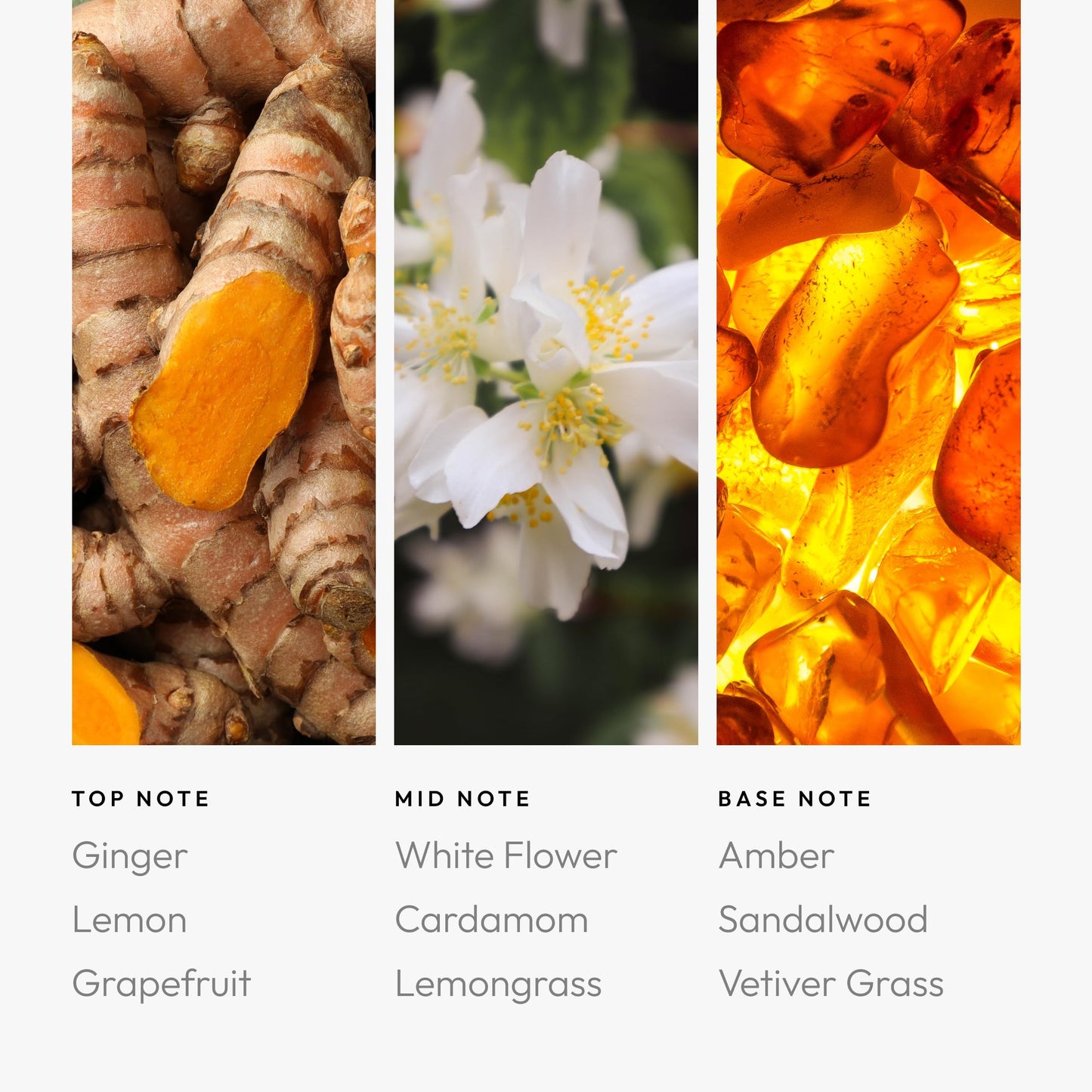 Aroma360 Pro Pod – Astrology-Inspired Fragrance Oil (Aquarius) 50mL | Ginger, White Flower & Amber