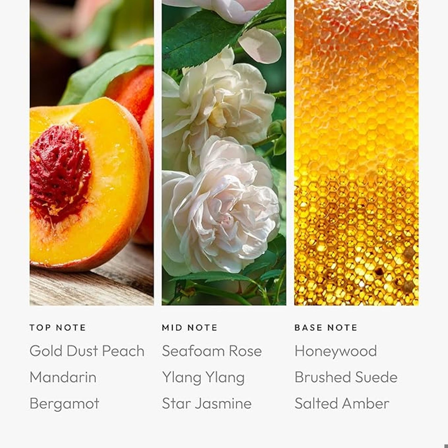 Aroma360 Pro Pod Virgo Fragrance Oil for Diffusers | Gold Dust Peach, Seafoam Rose & Honeywood, 50mL