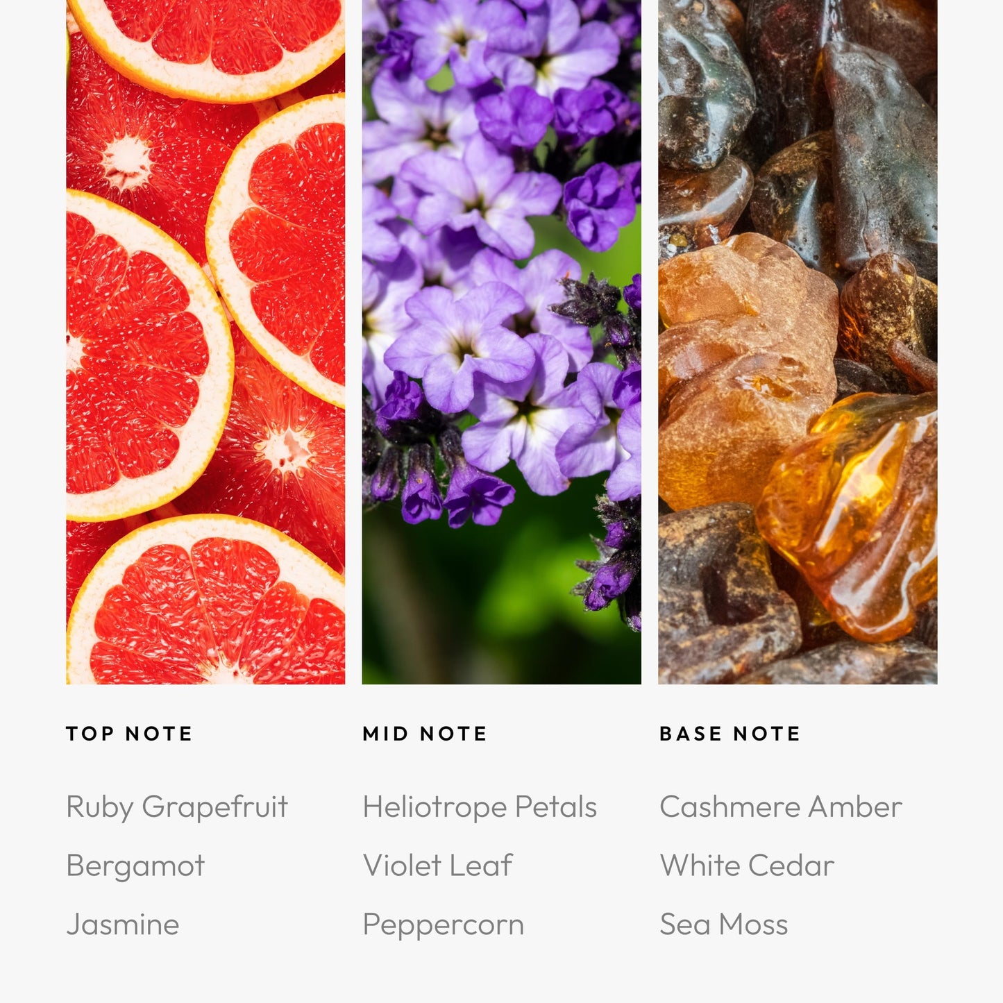 Aroma360 Red Diffuser Oil Blend – Luxury Reed Diffuser | Ruby Grapefruit, Heliotrope Petals & Amber | 4.1 fl oz (120 mL)