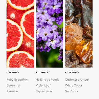 Aroma360 Red Diffuser Oil Blend – Luxury Reed Diffuser | Ruby Grapefruit, Heliotrope Petals & Amber | 4.1 fl oz (120 mL)