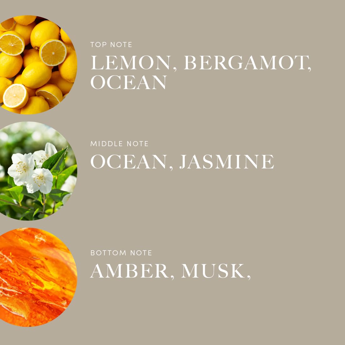 Aroma360 Started With A Mouse Fragrance Oil for Pro-Pod – Lemon & Ocean