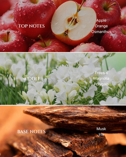 Aromadd Years of Flowers Diffuser Oil – Hotel-Inspired Freesia & Osmanthus, 3.38 fl oz