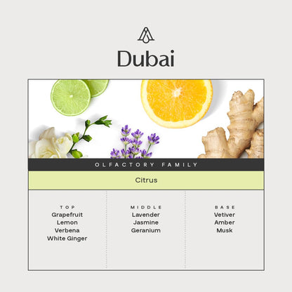 AromaPlan Dubai Scent Diffuser Oil 15 mL - Luxury Aromatherapy USA Made