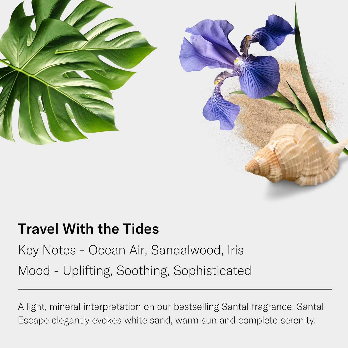 AromaTech Santal Escape Premium Aroma Oil – 60 mL for Diffusers (Sandalwood, Iris, Ocean Air)