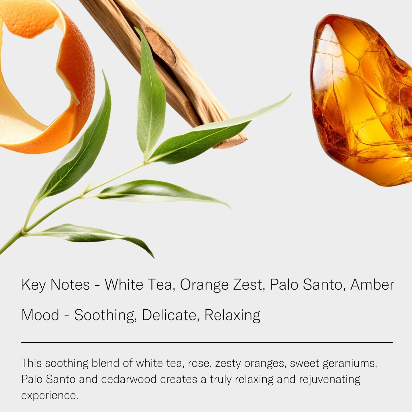 AromaTech White Tea Essential Oil Blend – Luxury Hotel Inspired Aromatherapy (0.3 fl oz / 10 mL)