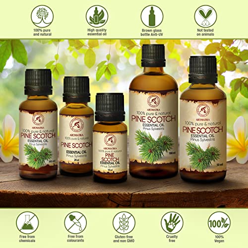 AROMATIKA Pine Scotch Oil 3.4 oz – Pinus Sylvestris (Austria) | 100% Pure & Natural