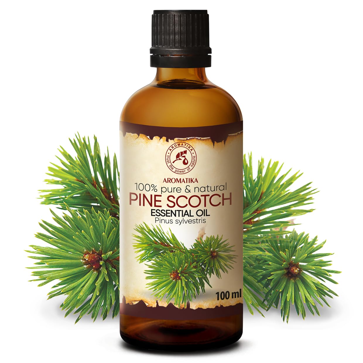 AROMATIKA Pine Scotch Oil 3.4 oz – Pinus Sylvestris (Austria) | 100% Pure & Natural