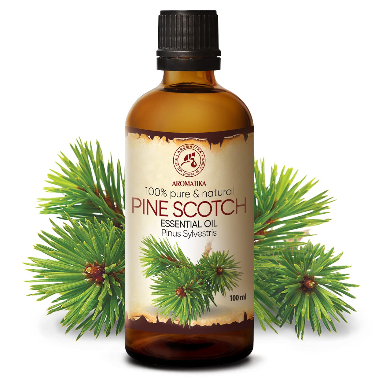 AROMATIKA Pine Scotch Oil 3.4 oz – Pinus Sylvestris (Austria) | 100% Pure & Natural