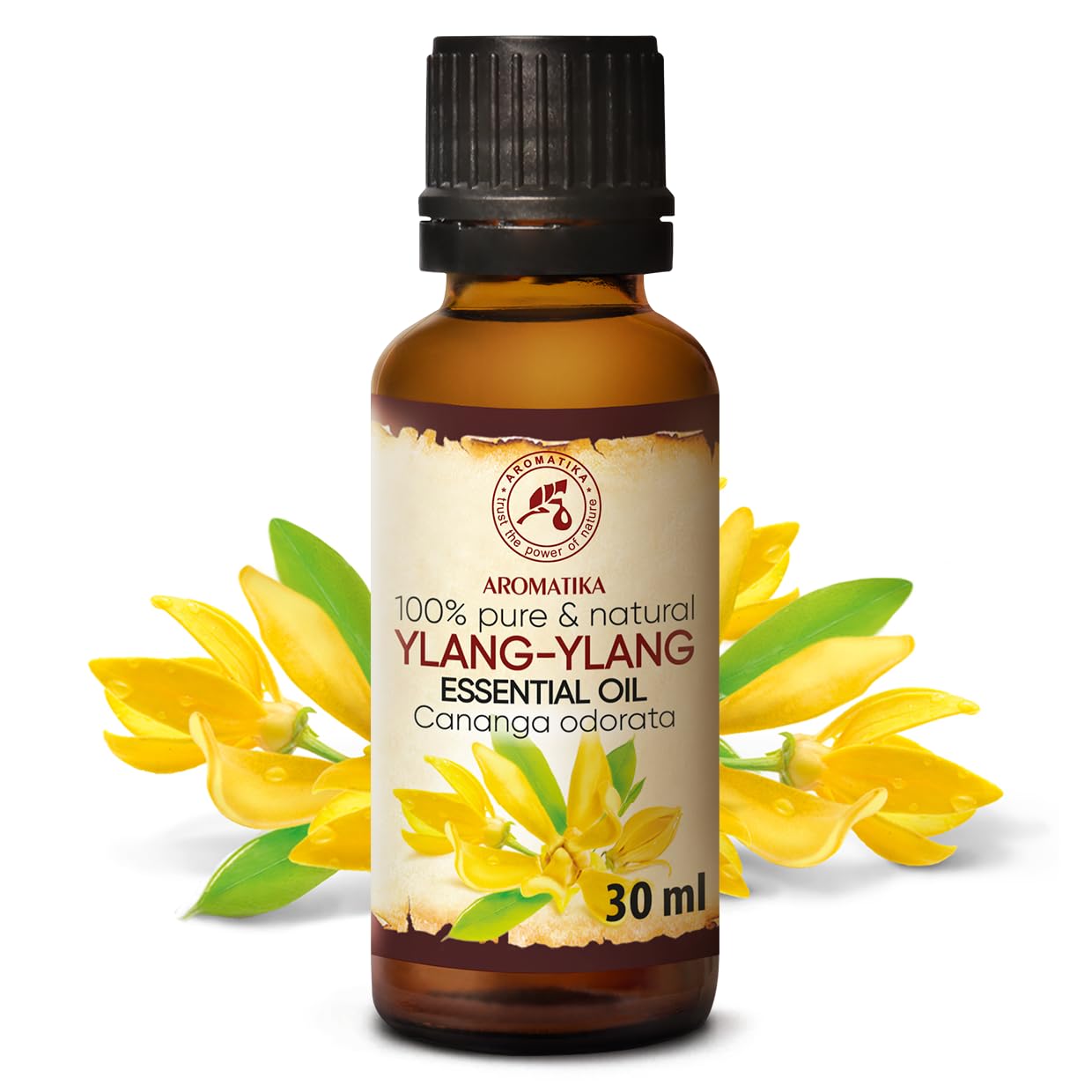 AROMATIKA Ylang Ylang Essential Oil 1.0 Fl Oz – 100% Pure & Natural Cananga Odorata, Madagascar