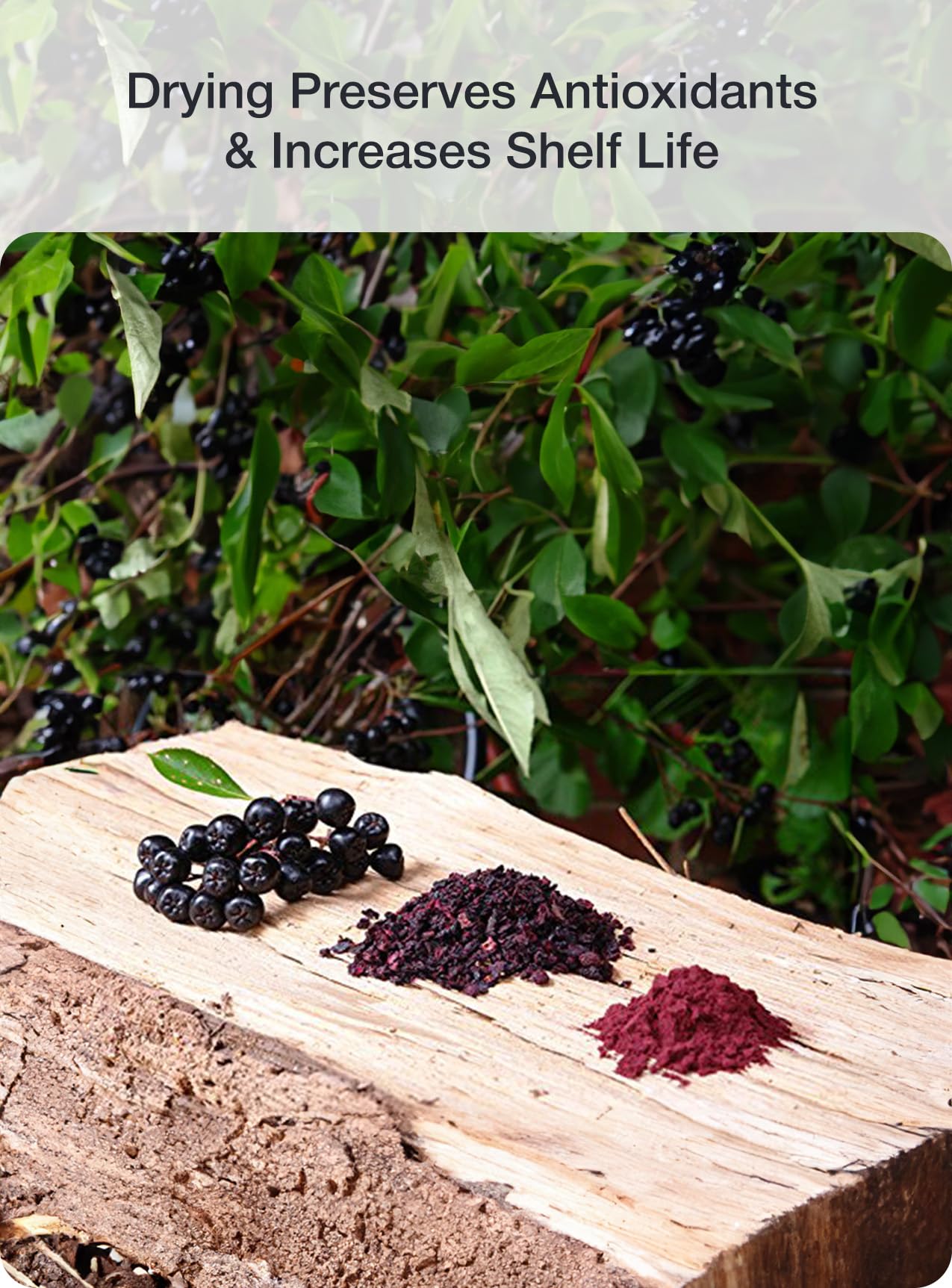 Organic Aronia Berry Juice Powder - 1 lb | Antioxidants