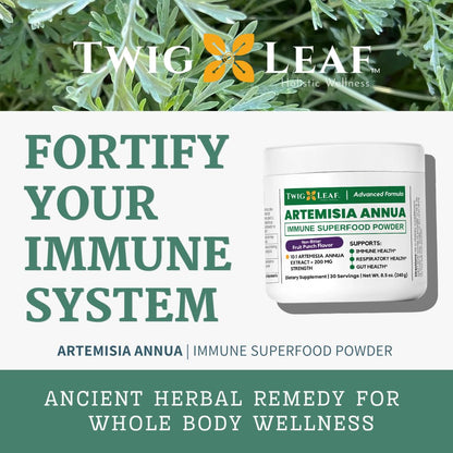 Artemisia Annua Sweet Wormwood Herbal Powder | 30 Servings | Non-GMO, Vegan