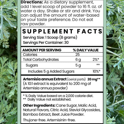 Artemisia Annua Sweet Wormwood Herbal Powder | 30 Servings | Non-GMO, Vegan