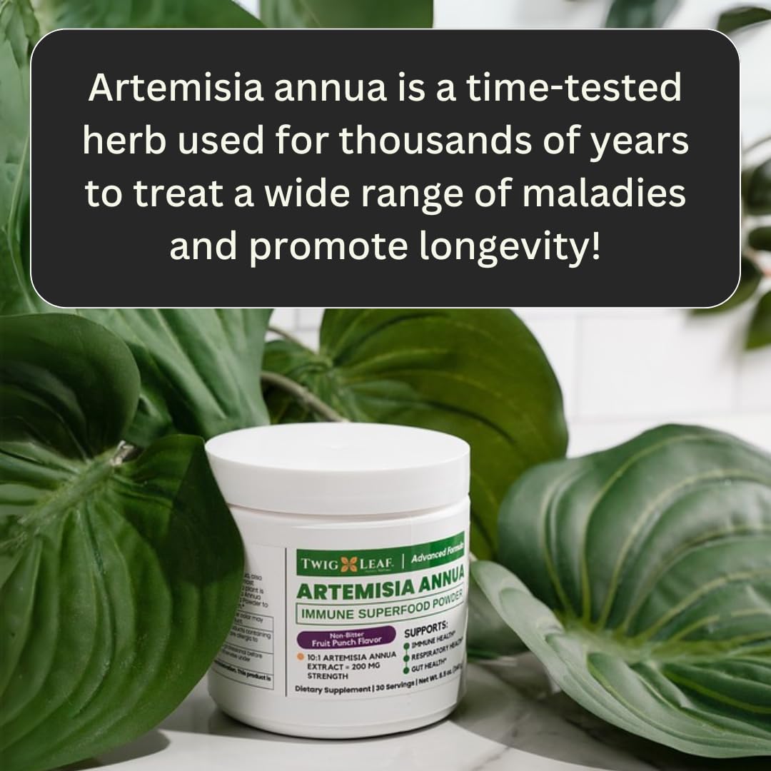 Artemisia Annua Sweet Wormwood Herbal Powder | 30 Servings | Non-GMO, Vegan