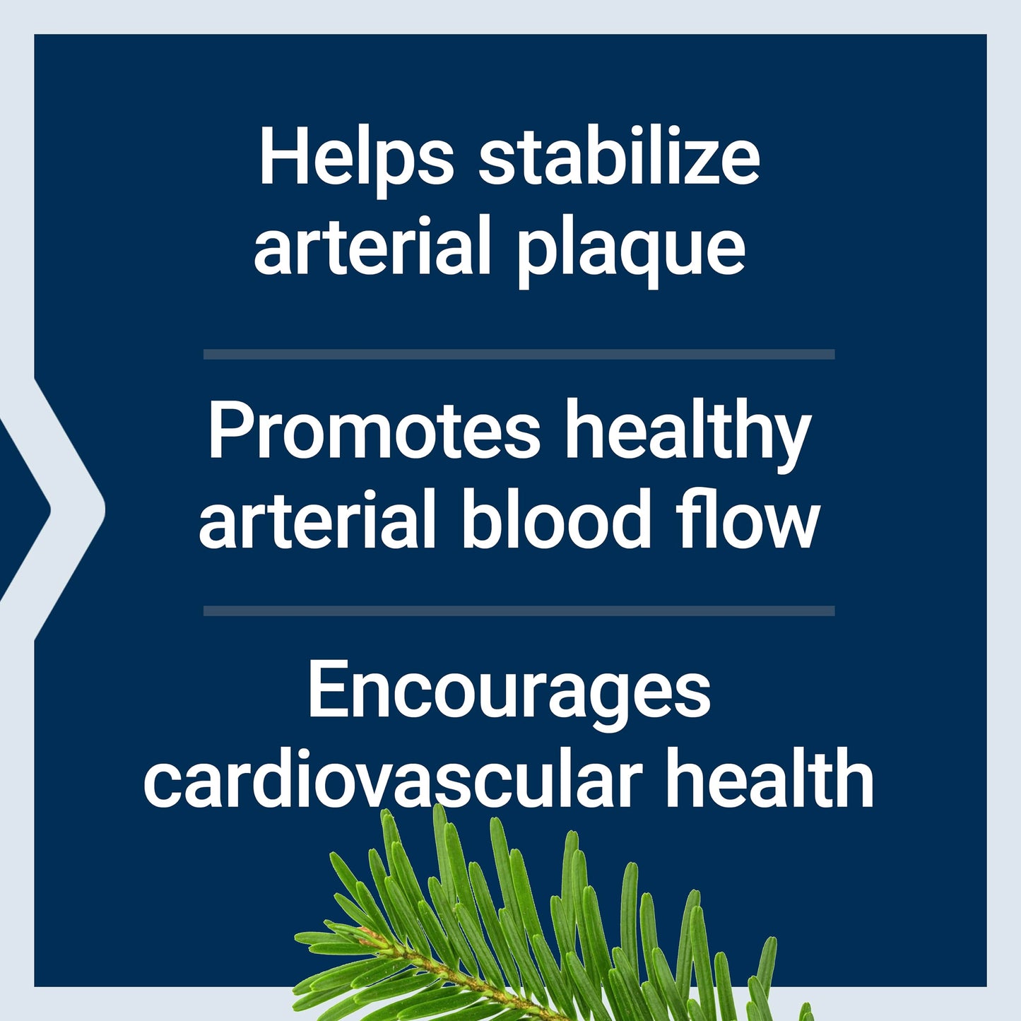 Life Extension Arterial Protect - Blood Pressure Support with Gotu Kola & Pycnogenol