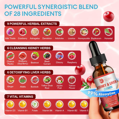 Kidney & Liver Cleanse Detox & Repair Drops – 2 Pack (60ml Each) | Cranberry & Milk Thistle