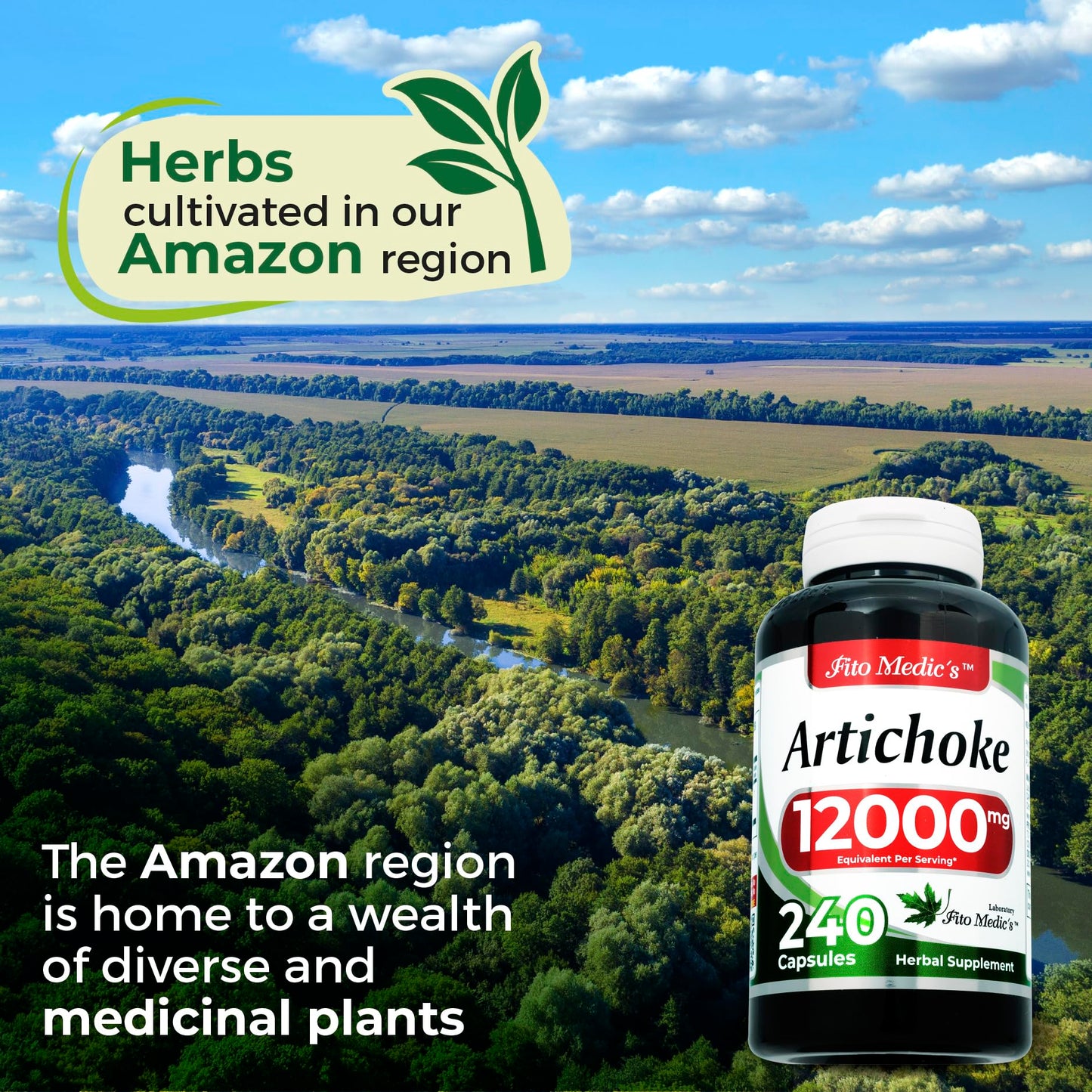 Artichoke Extract Capsules 12,000 mg – 240 Capsules (Pack of 2) | FITO MEDIC'S Lab