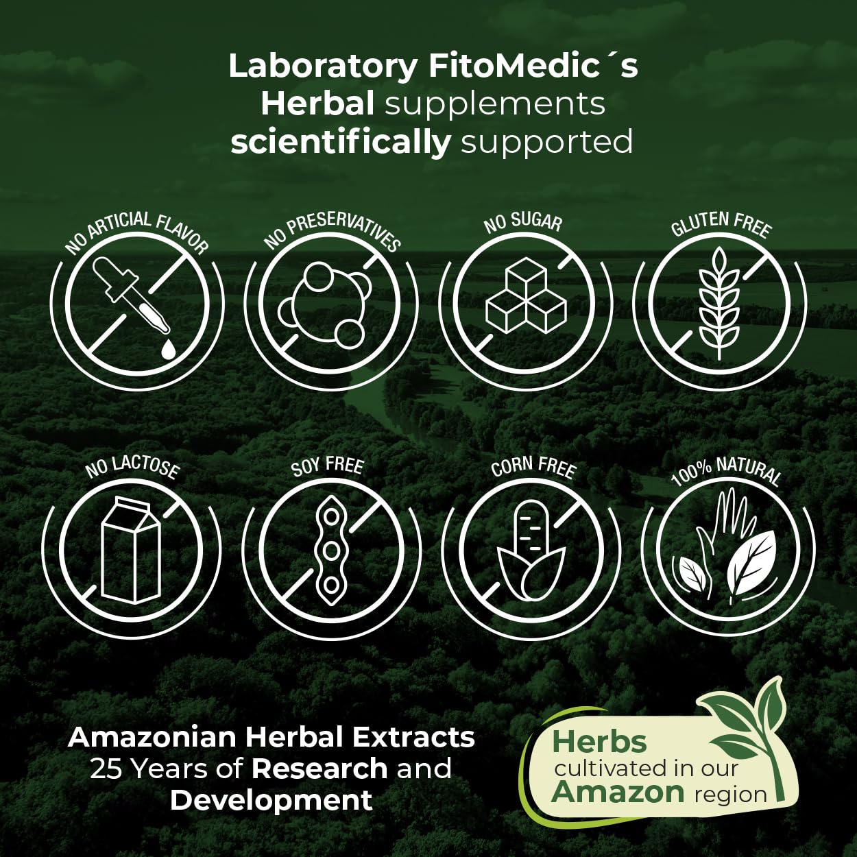 Artichoke Extract Capsules 12,000 mg – 240 Capsules (Pack of 2) | FITO MEDIC'S Lab