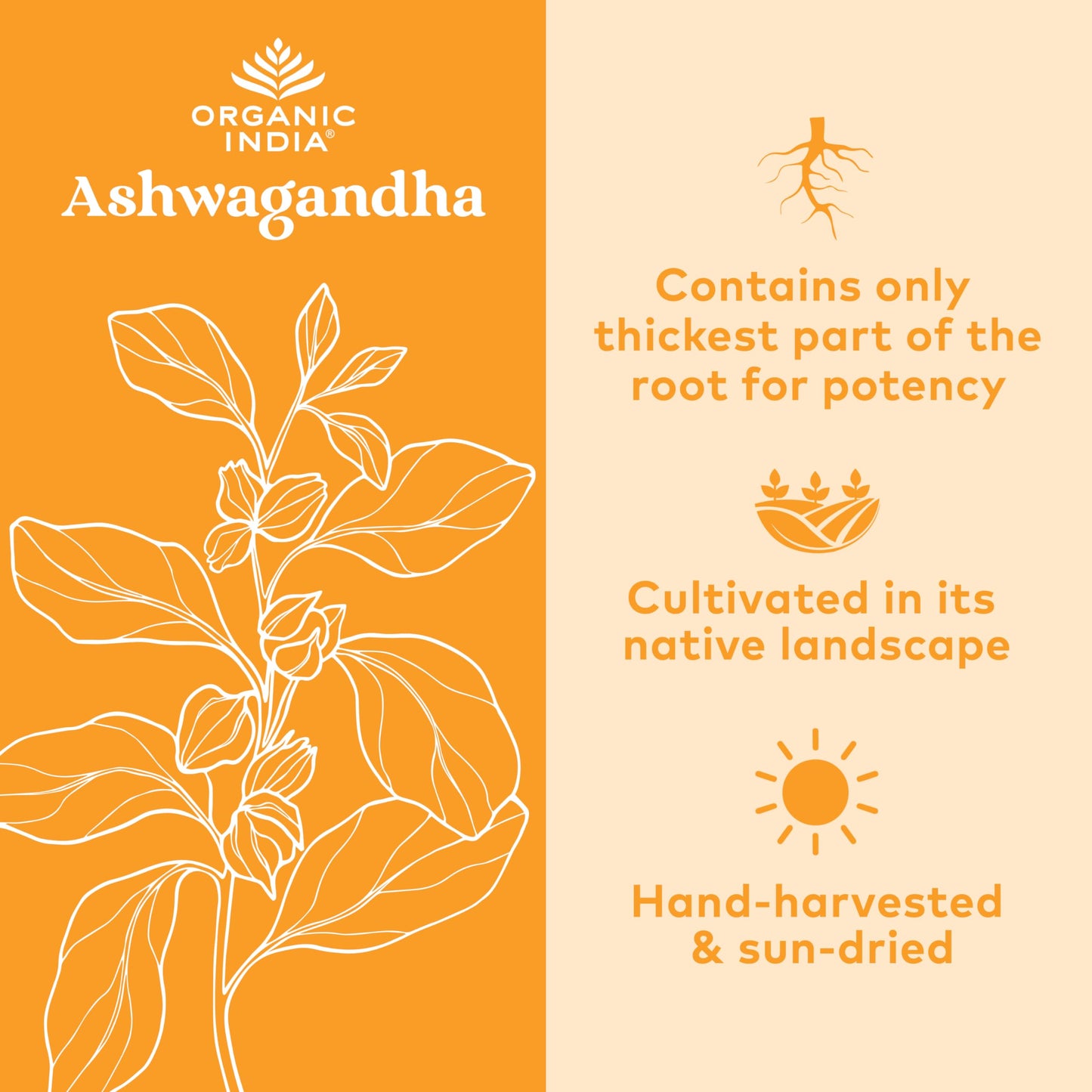 ORGANIC INDIA Ashwagandha Capsules - Organic Ashwagandha Supplement - Vegan, Gluten-Free, Kosher, Non-GMO - 180 Capsules