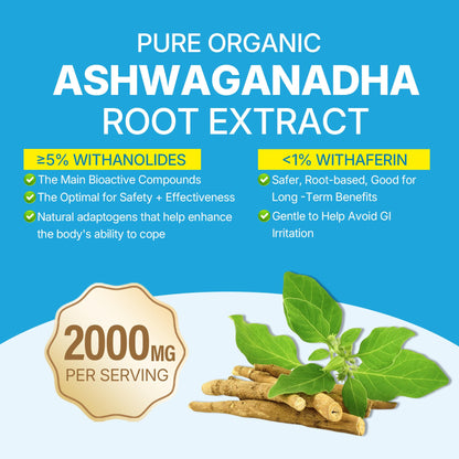 Ashwagandha Gummies 2000mg – Sugar Free, Vegan, Organic | D3, B12, Turmeric – Mixed Berry, 120 Count