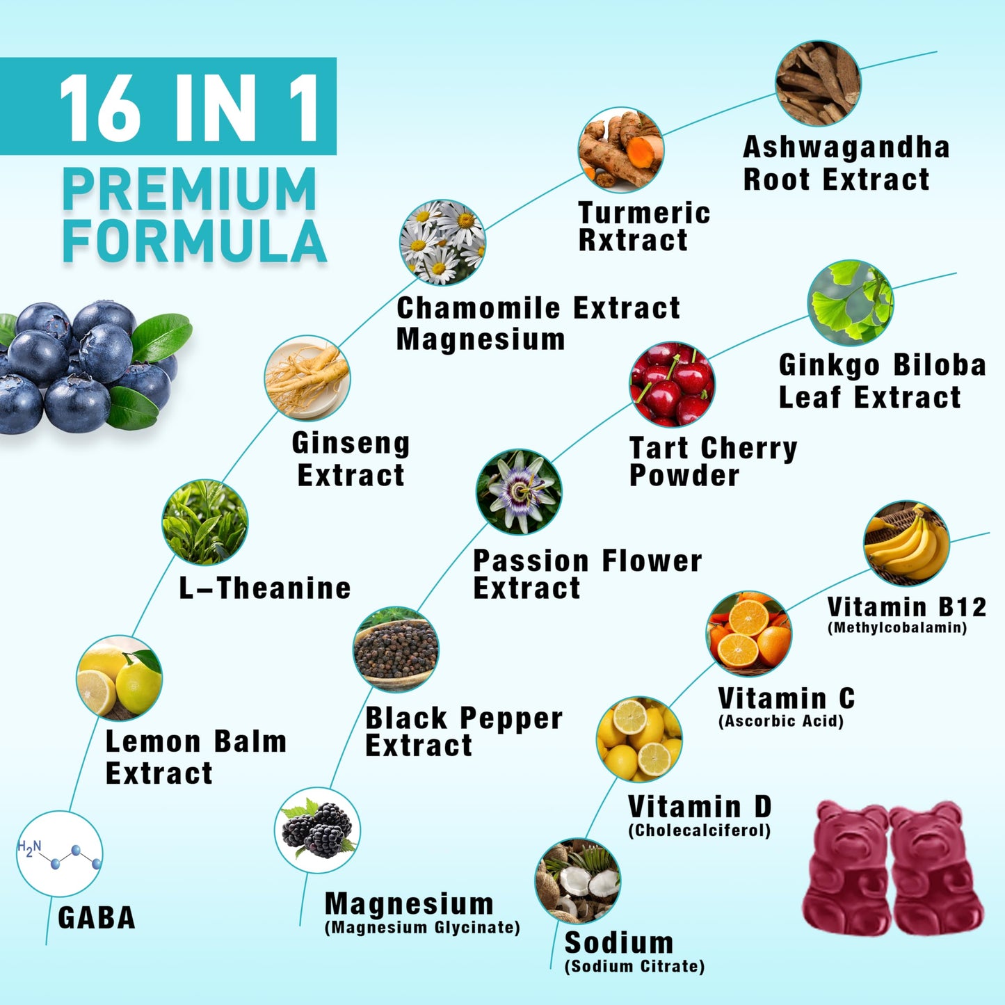 Ashwagandha Gummies for Immunity & Relaxation - Blueberry, 60 Count