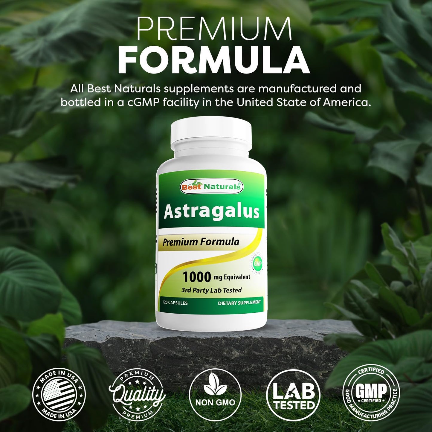 Best Naturals Astragalus Capsule 1000 mg – 120 Count (Pack of 2)