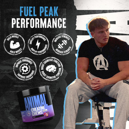 Animal Creatine Chews Tablets – Enhanced Creatine Monohydrate with AstraGin | Grape Flavor