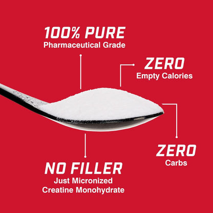 ProLab Nutrition Creatine Monohydrate Micronized Powder 1000g - Pure Creatine for Muscle Strength, Power & Endurance (Unflavored, 5g per serving, 200 servings)
