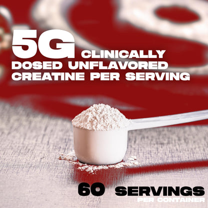 ALPHA LION Creatine Monohydrate Powder – 5000 mg per Serving, 60 Servings, Unflavored