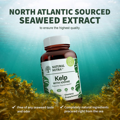 Natural Nutra Kelp Iodine — Thyroid Support, 225 mcg, 100 Tablets