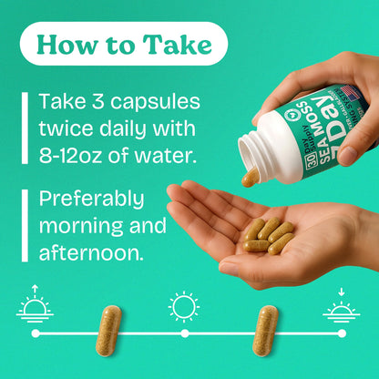 Atlantic Naturals Sea Moss Capsules – 7 Day Liver & Gallbladder Wellness