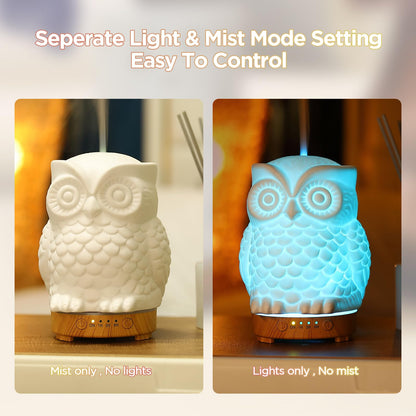Owl Ceramic Aromatherapy Diffuser 160ml – INRORANS Ultrasonic Stone Owl Night Light