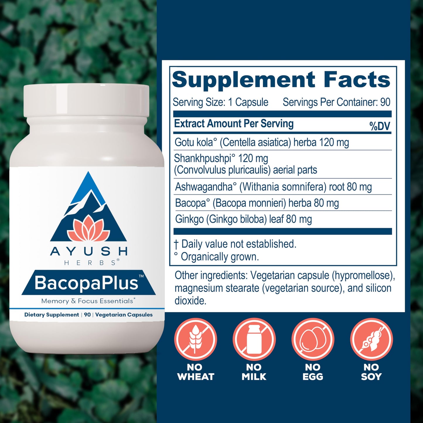 Ayush Herbs BacopaPlus – Organic Bacopa for Memory & Focus (90 VCaps)
