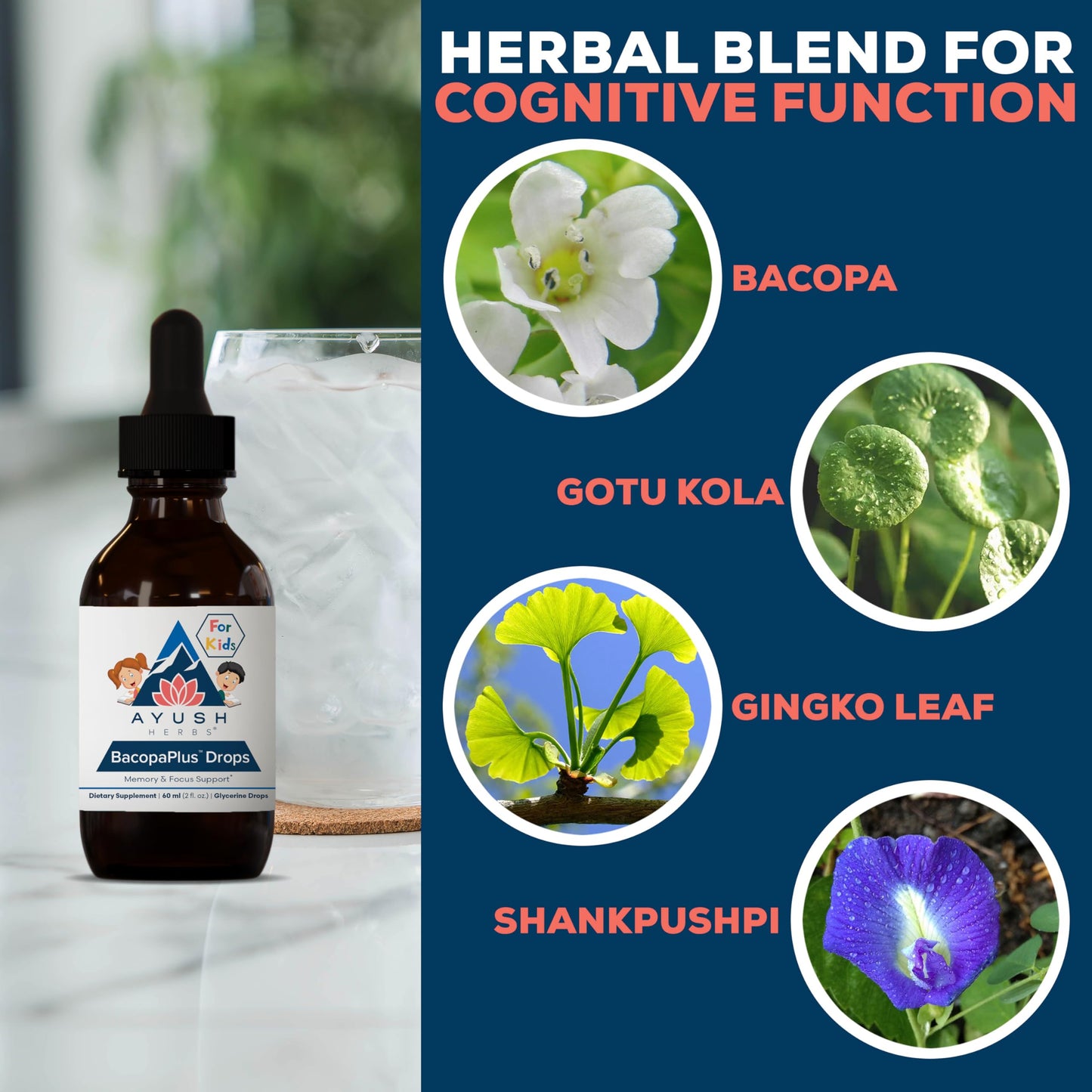 Ayush Herbs BacopaPlus Drops for Kids – Focus & Memory Support