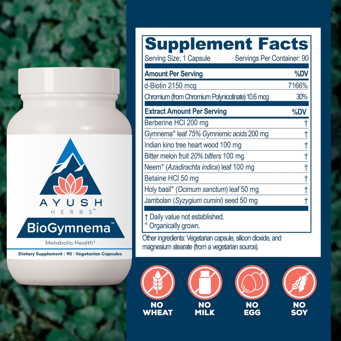 Ayush Herbs BioGymnema – Metabolic Health Supplement with Berberine, Gymnema & Bitter Melon | 90 Veg Capsules