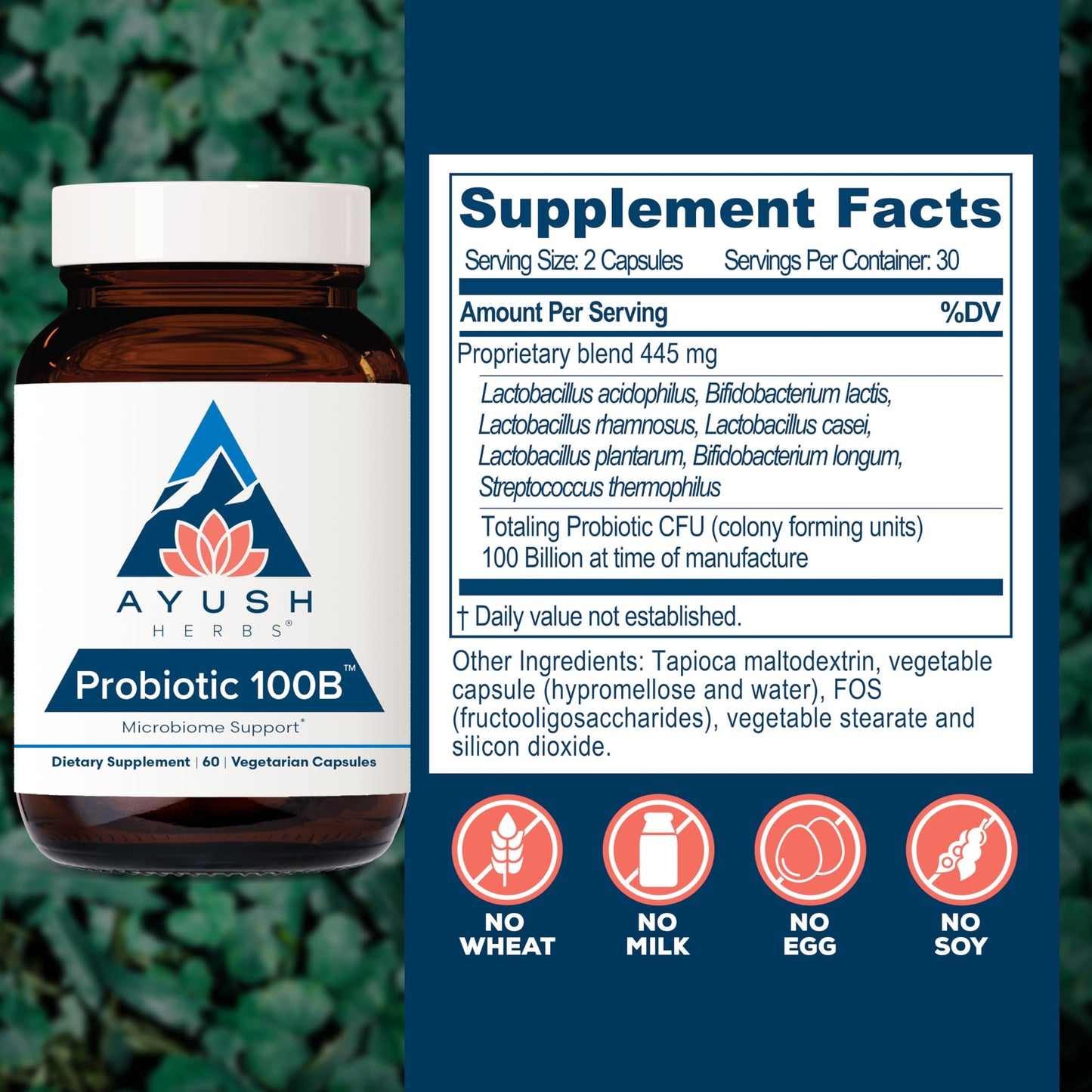 Ayush Herbs All-Natural Probiotic 100B, 60 Capsules – AY147