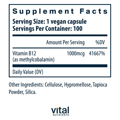 Vital Nutrients B12 1000mcg – Vegan Methylcobalamin | High-Potency B12