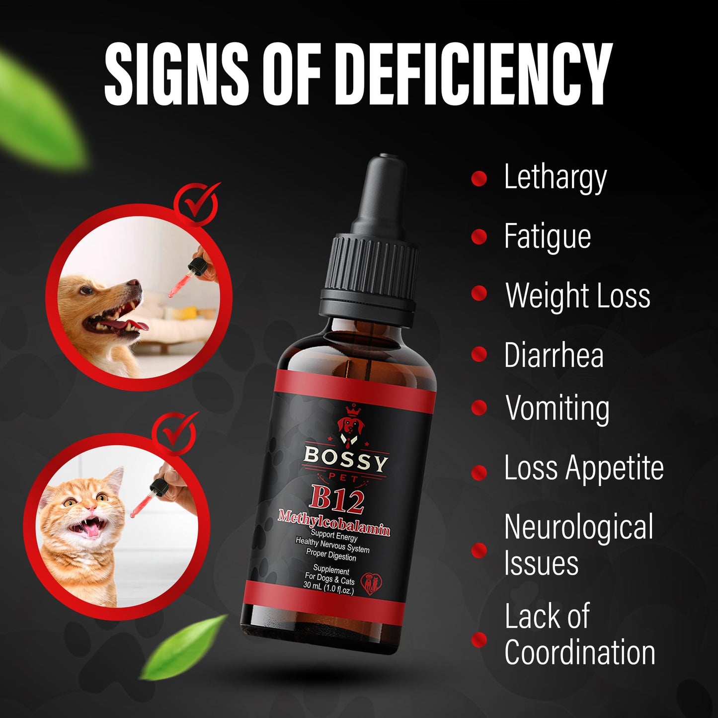 Vitamin B12 for Dogs & Cats – Vet-Formulated Methylcobalamin Drops