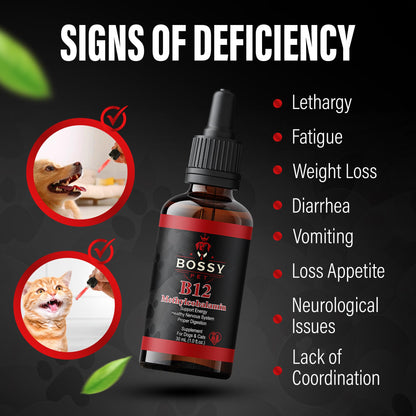 Vitamin B12 for Dogs & Cats – Vet-Formulated Methylcobalamin Drops