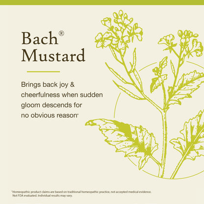 Bach Original Flower Remedies Mustard – Be Joyful | 20mL Dropper