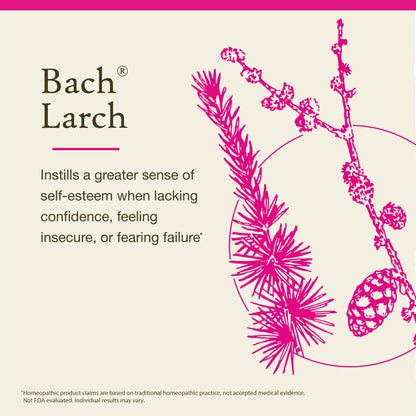 BACH Larch Original Flower Remedy - Have Confidence | 20mL Dropper | Vegan